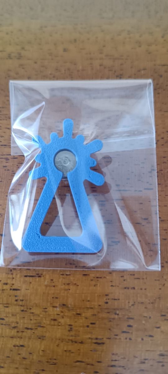 Pin Virgen del Pilar