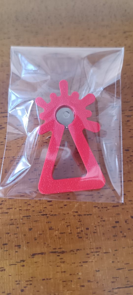 Pin Virgen del Pilar