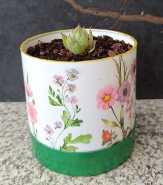 Maceta reciclada de plástico con flores