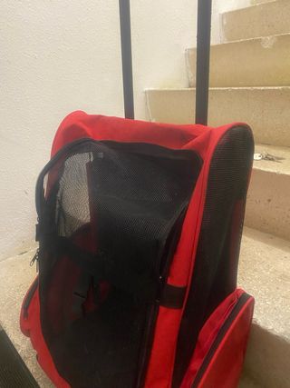 Carro transporte mascotas rojo