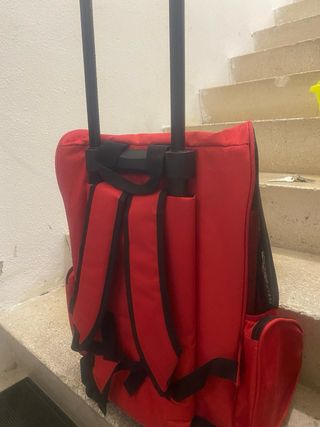 Carro transporte mascotas rojo