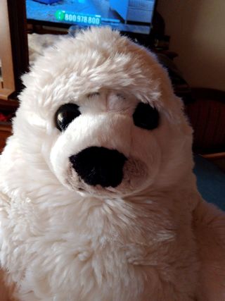 Foca Trudi peluche