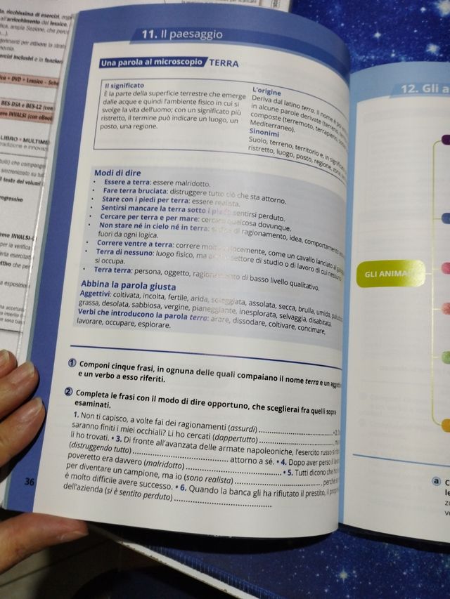 Per tua norma e regola