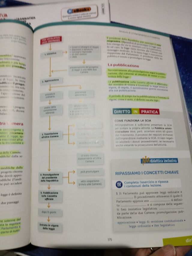 Nuovo Diritto, Economia, Industria
