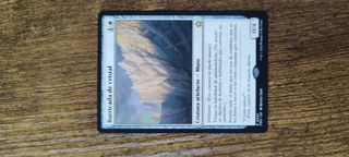 Barricada de Cristal - MTG