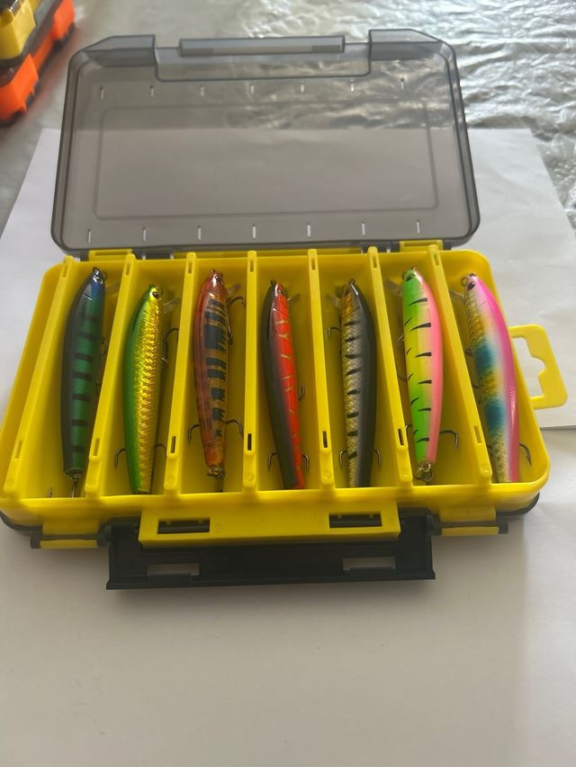 Lote de señuelos spinning especial lucio y bass