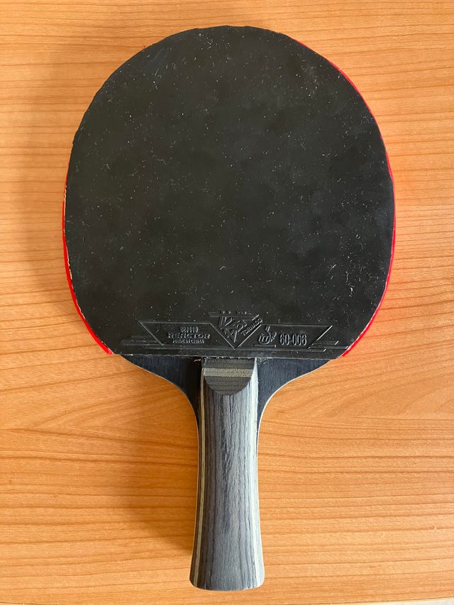 Pala de Ping Pong BOER Allround ydos pelotas JOOLA