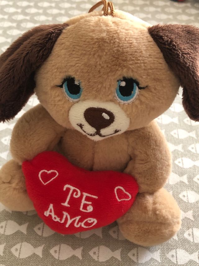 2 Peluches San Valentín: Perro y Conejo