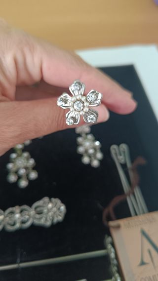 Aderezo fallera plata: pendientes & broches