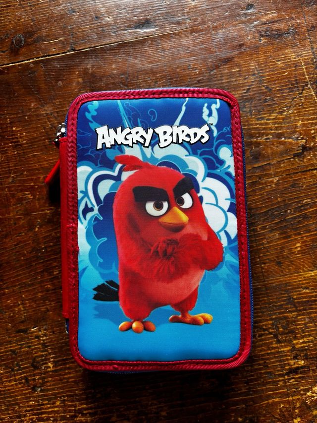 Astuccio Angry Birds