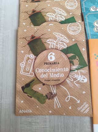 Conocimiento del medio,Sopa de letras, Matemáticas