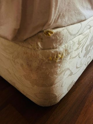 Cama canapé abatible FLEX beige