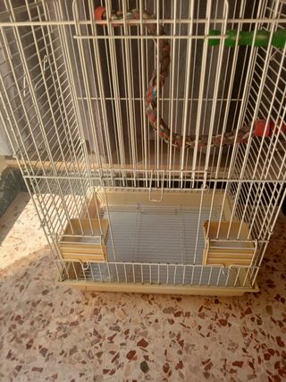 Gabbia uccelli è pappagallini- bianca e beige. 
