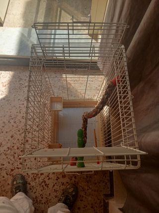 Gabbia uccelli è pappagallini- bianca e beige. 
