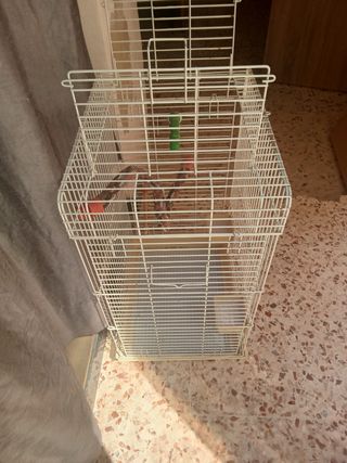 Gabbia uccelli è pappagallini- bianca e beige. 
