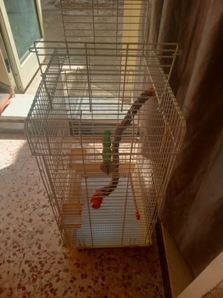 Gabbia uccelli è pappagallini- bianca e beige. 
