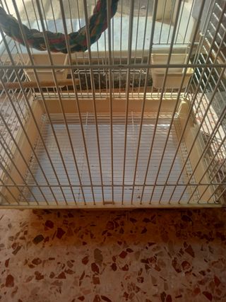 Gabbia uccelli è pappagallini- bianca e beige. 
