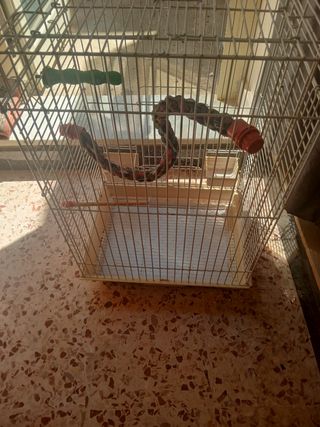 Gabbia uccelli è pappagallini- bianca e beige. 
