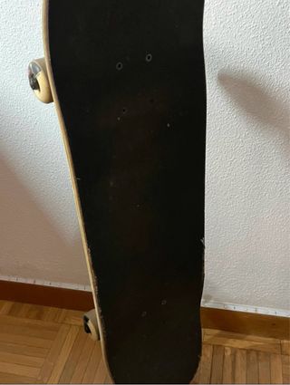 Skate Globe - Completo