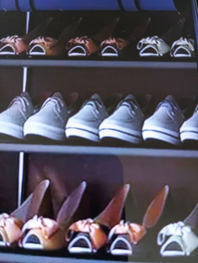 Zapatero doble 36 pares - azul