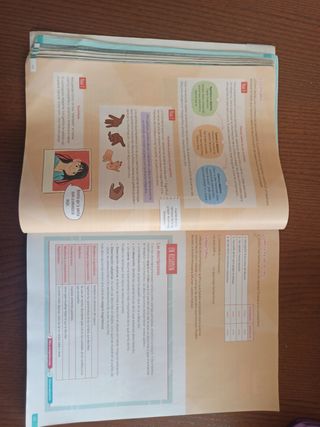 Lengua Castellana y Literatura . 1 Secundaria. ...