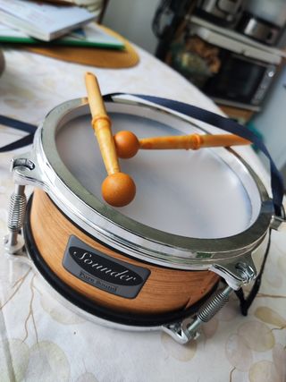 Casio CT-636 + Percusión Infantil + Flauta Dulce