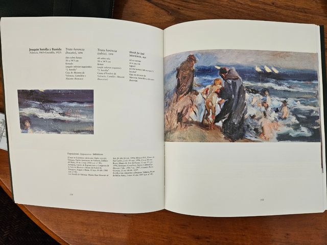 Mare nostrum.visions de la mediterranea en pintors