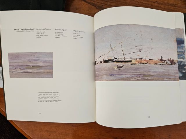 Mare nostrum.visions de la mediterranea en pintors