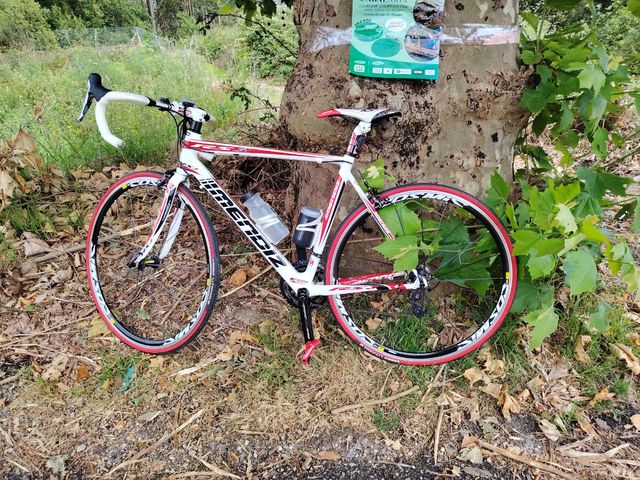 Bicicletas carretera