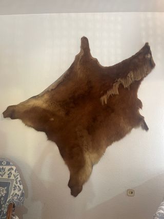 Piel de potro marrón