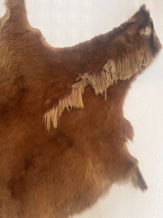 Piel de potro marrón