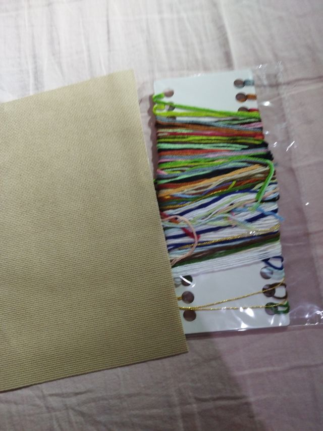 Kit Punto de Cruz Frida Kahlo