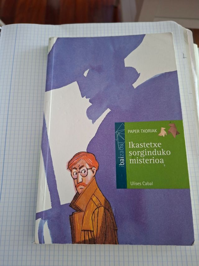 Ikastetxe sorginduko misterioa (Paper Txoriak) ...