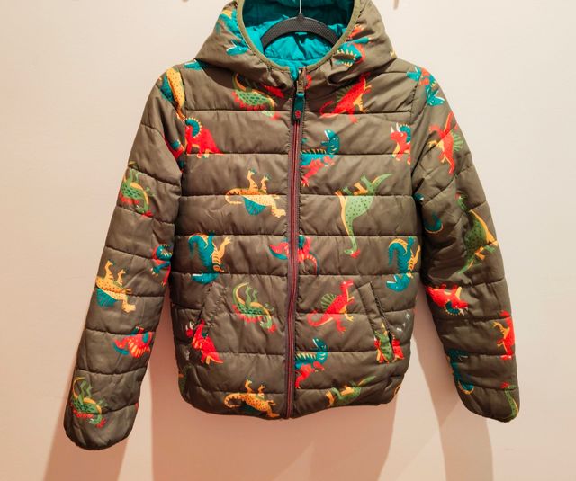 Plumífero reversible niño dinosaurios