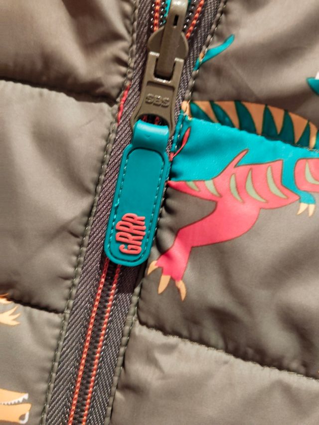 Plumífero reversible niño dinosaurios