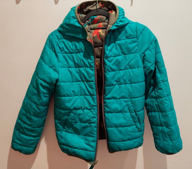 Plumífero reversible niño dinosaurios