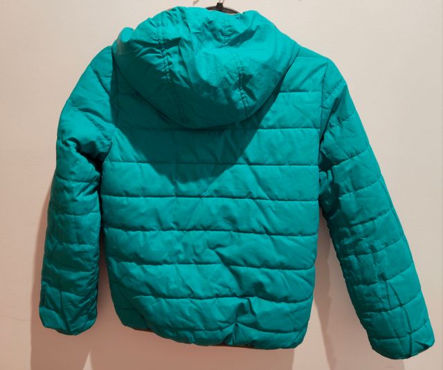 Plumífero reversible niño dinosaurios