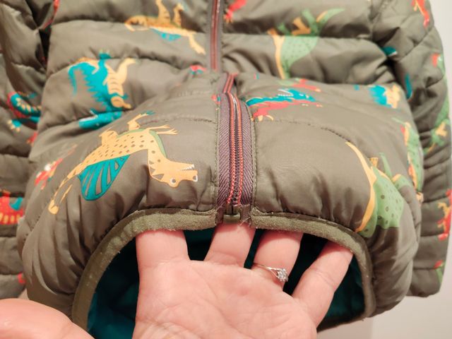 Plumífero reversible niño dinosaurios