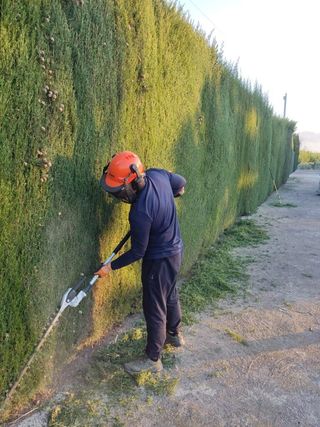 Jardinero profesional