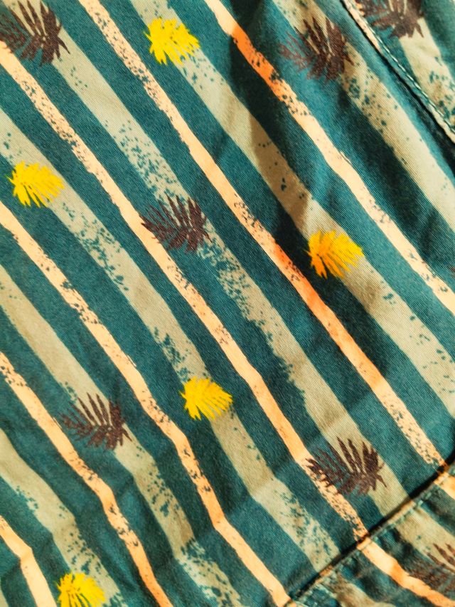 Bermudas rayas hojas - niño