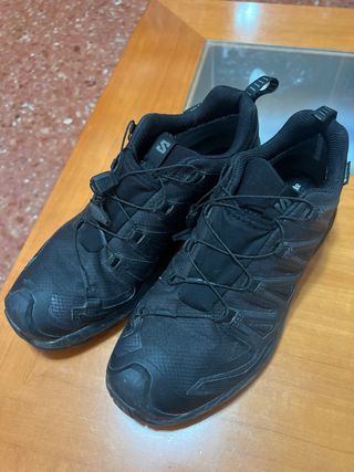 Zapatillas Salomon XA Pro 3D GTX
