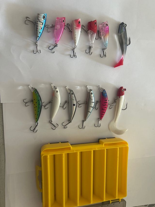 Lote de 12 señuelos de pesca más estuche lubina