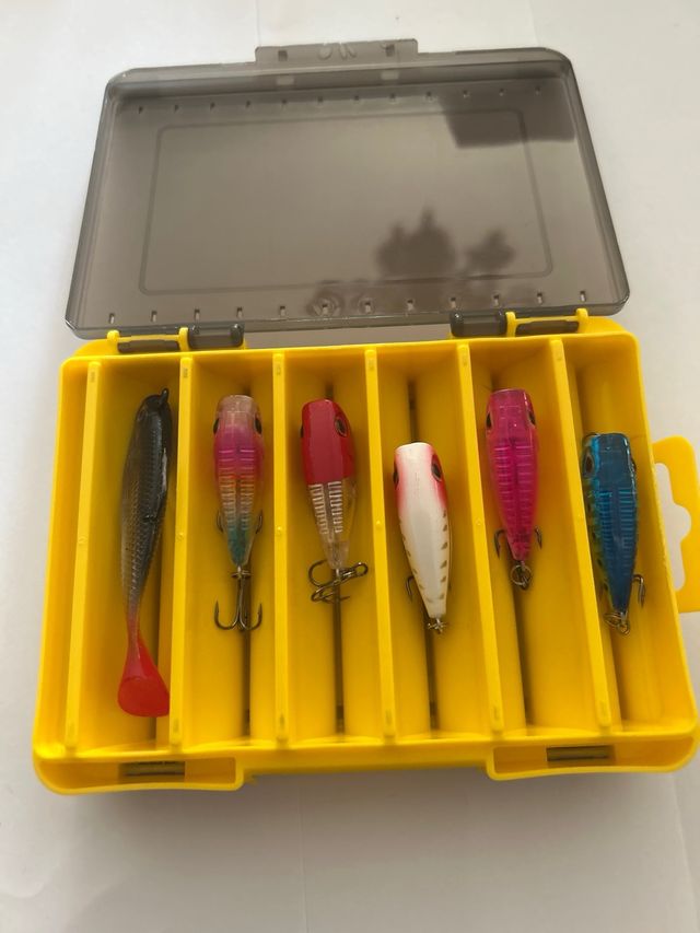 Lote de 12 señuelos de pesca más estuche lubina