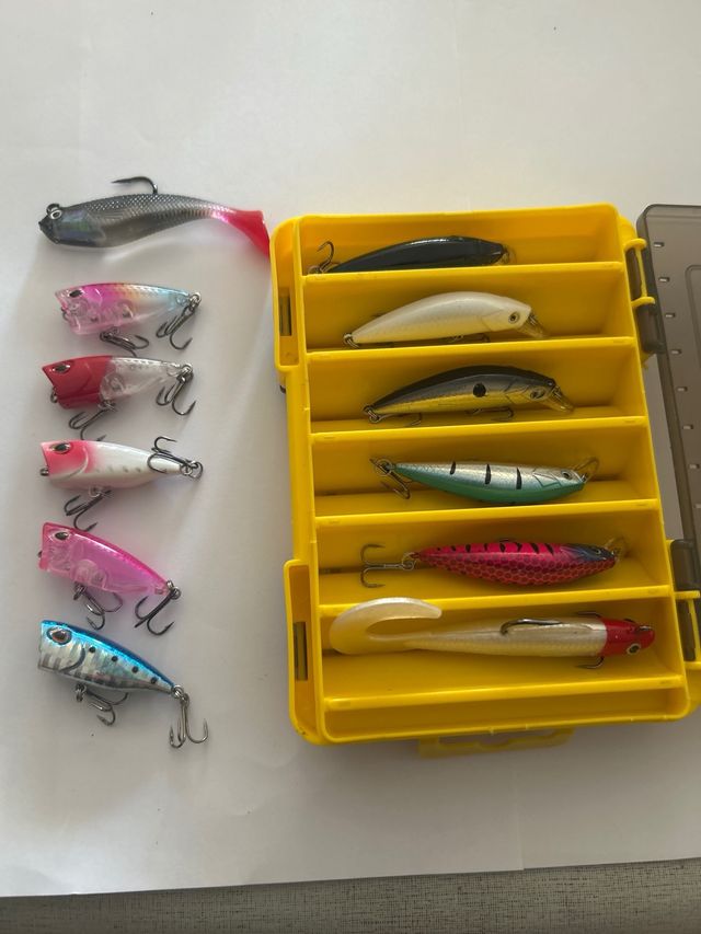 Lote de 12 señuelos de pesca más estuche lubina