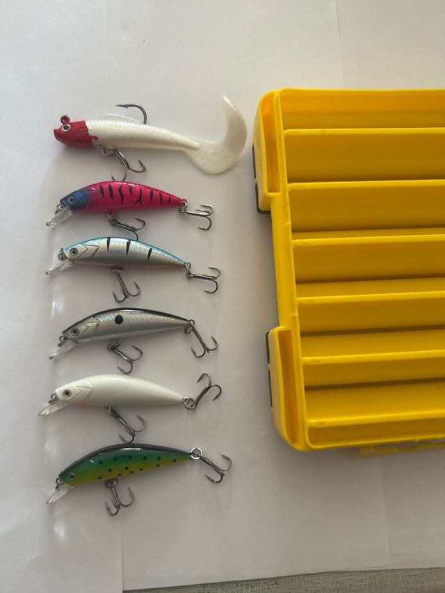 Lote de 12 señuelos de pesca más estuche lubina