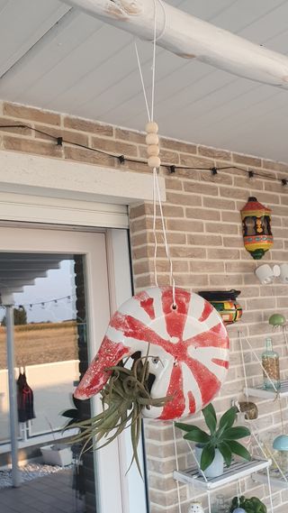 Vaso Nautilus piante aeree