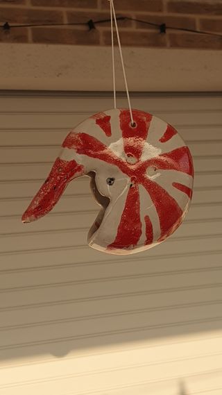 Vaso Nautilus piante aeree