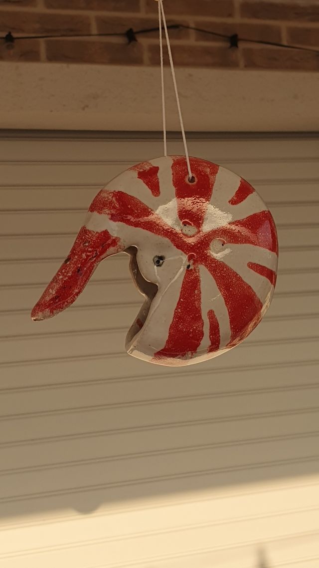 Vaso Nautilus piante aeree