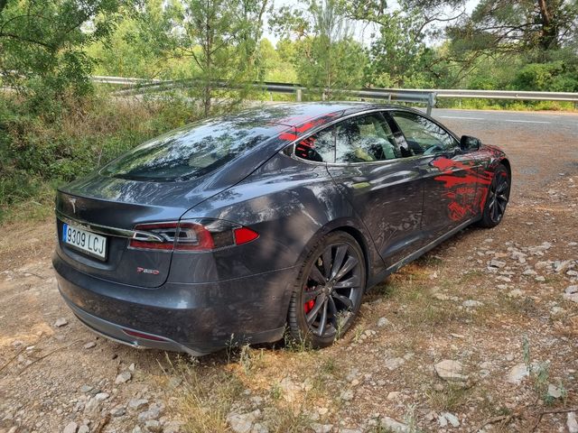 Tesla Model S Performance - 770cv