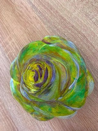 Rosa ornamentale verde